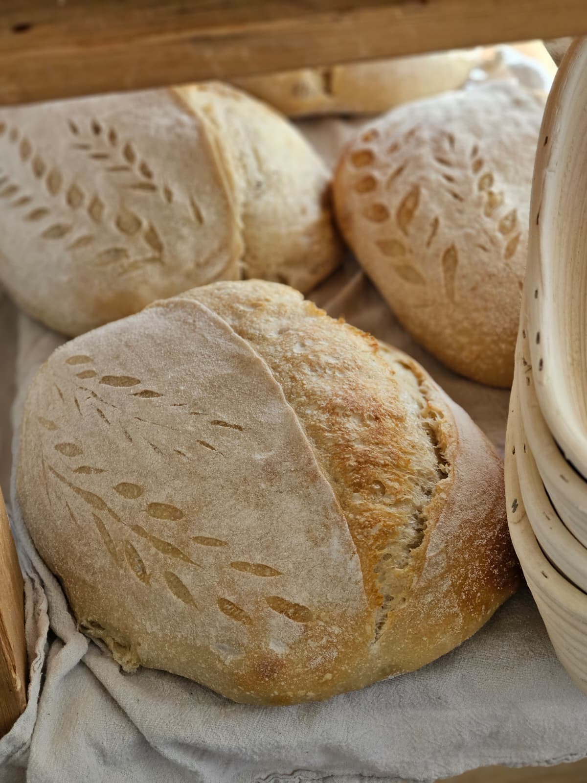 Decorative sourdough loaves in a proofing basket