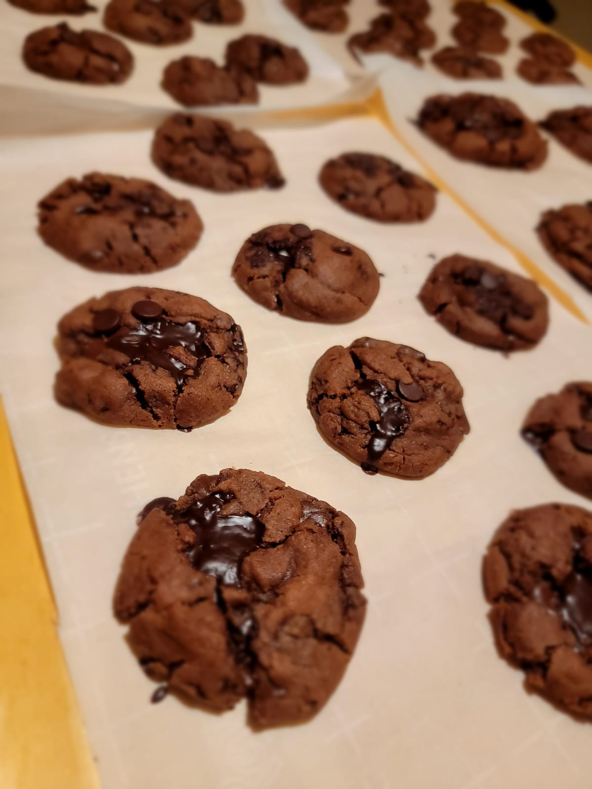 Double chocolate cookies on parchment